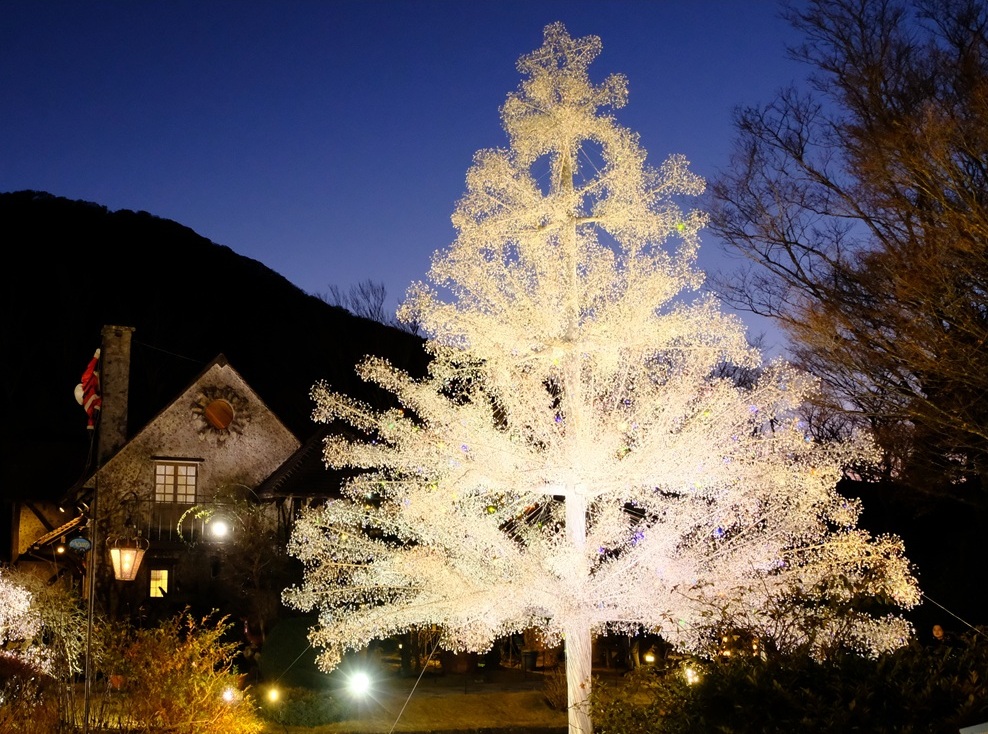 箱根の冬(クリスマスツリー)